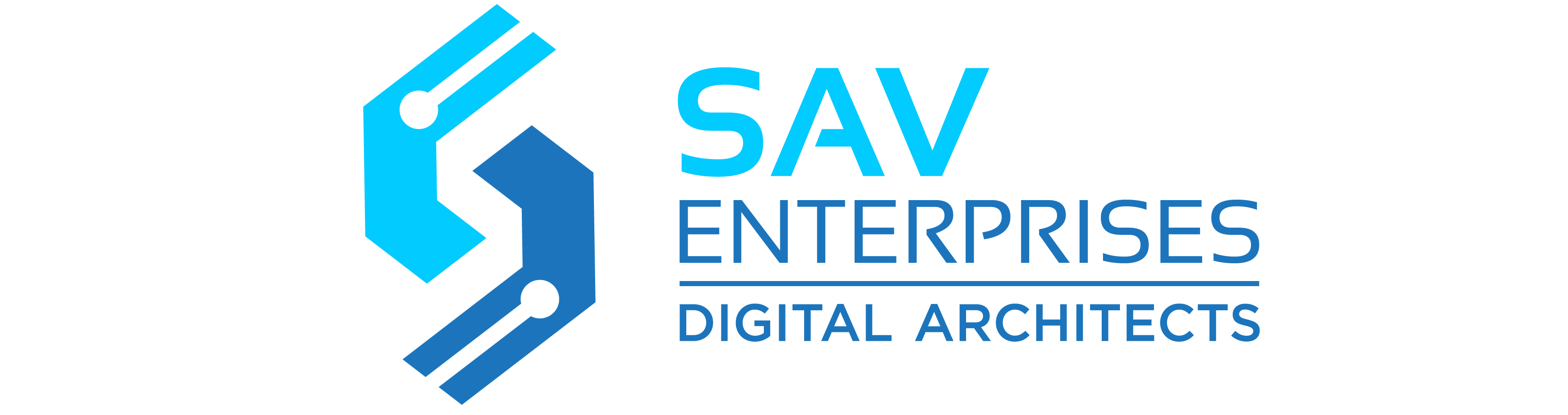 SAV Logo